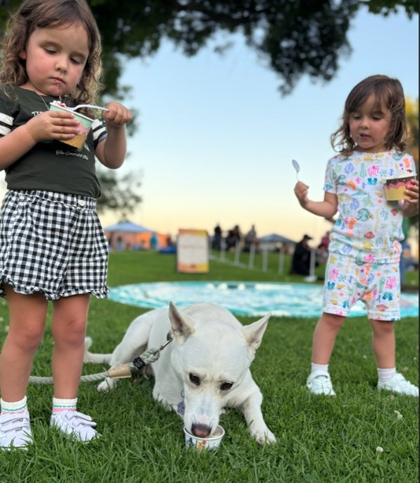 Two toddlers and a dog enjoying a cup of ice cream at a park